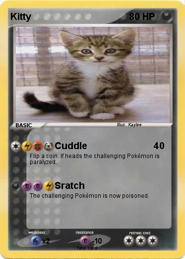 Pokemon Kitty