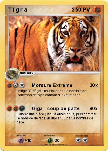 Pokemon T i g r a                              3