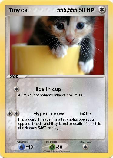 Pokemon Tiny cat                  555,555,
