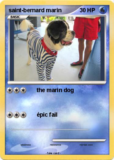 Pokemon saint-bernard marin