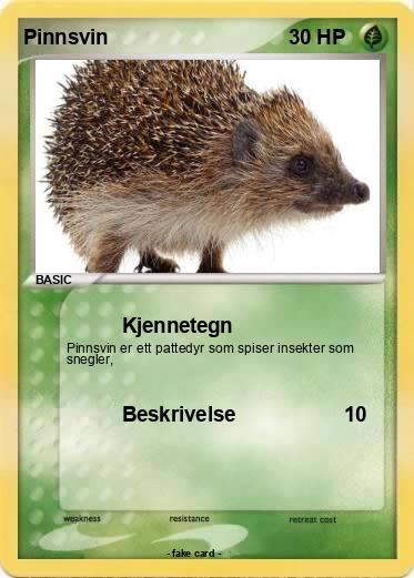 Pokemon Pinnsvin