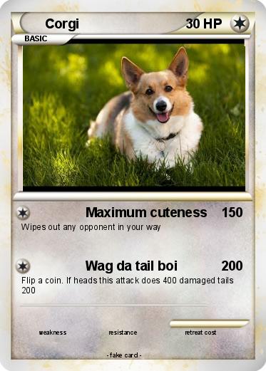 Pokemon Corgi