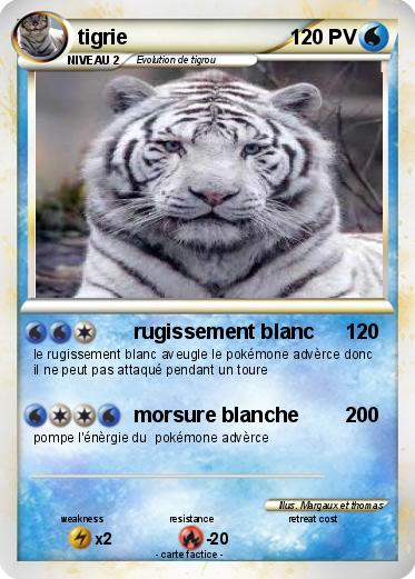 Pokemon tigrie