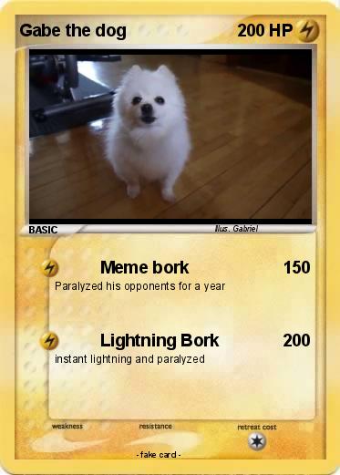 Pokemon Gabe the dog