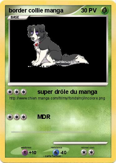 Pokemon border collie manga