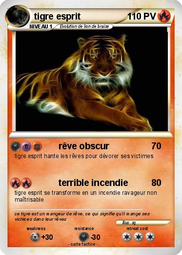 Pokemon tigre esprit