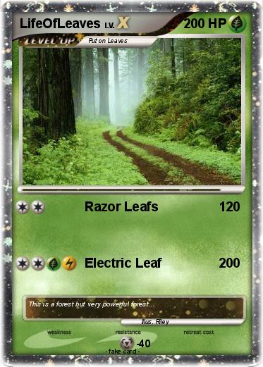 Pokemon LifeOfLeaves