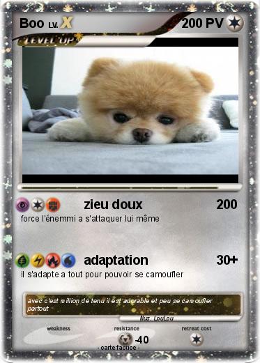 Pokemon Boo