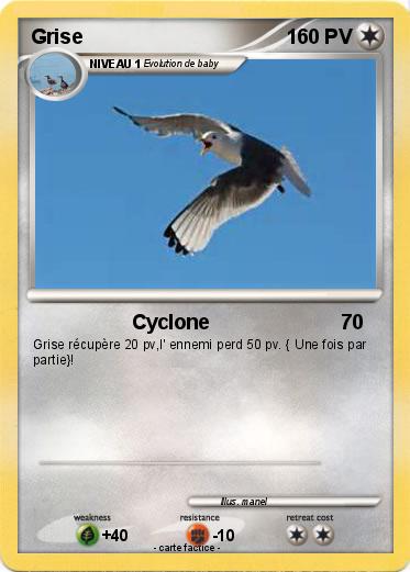 Pokemon Grise
