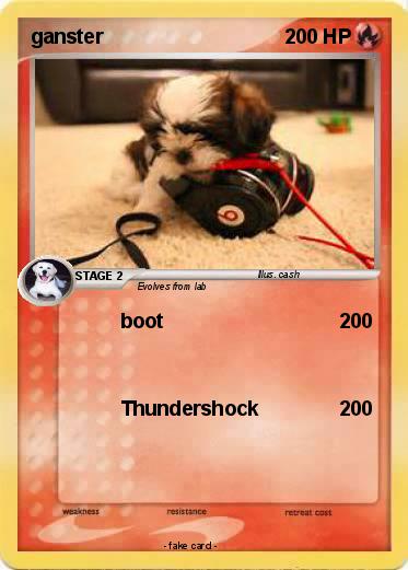 Pokemon ganster