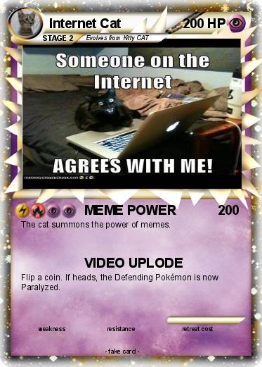 Pokemon Internet Cat