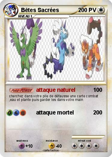 Pokemon Bêtes Sacrées