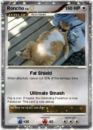 Pokemon Roncho