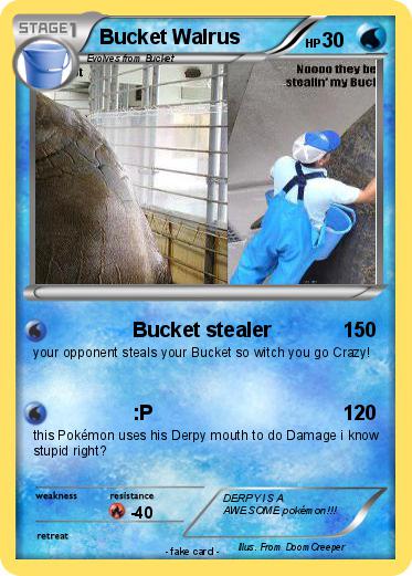 Pokemon Bucket Walrus