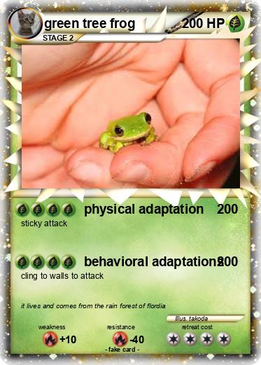 Pokemon green tree frog
