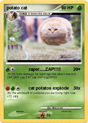 Pokemon potato cat