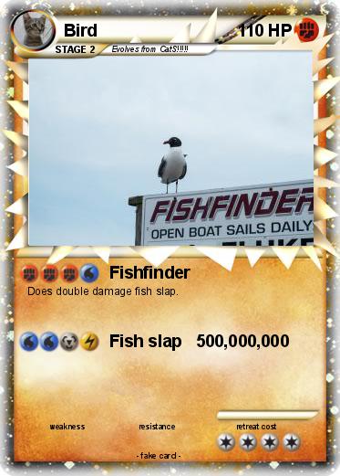 Pokemon Bird
