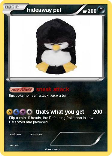 Pokemon hideaway pet