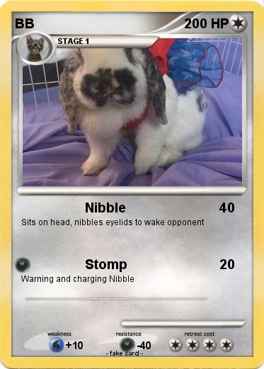 Pokemon BB