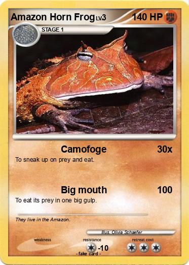 Pokemon Amazon Horn Frog