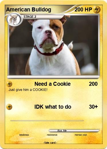 Pokemon American Bulldog