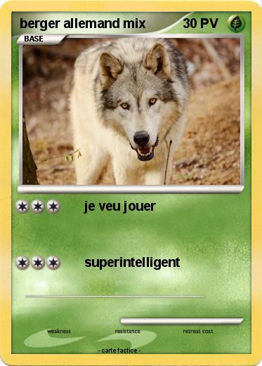 Pokemon berger allemand mix