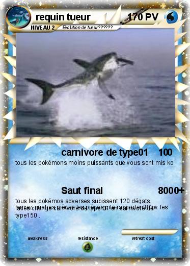 Pokemon requin tueur              1