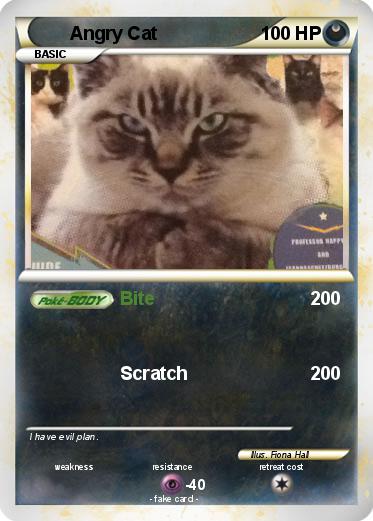 Pokemon Angry Cat