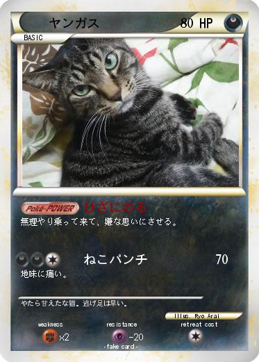 Pokemon ヤンガス