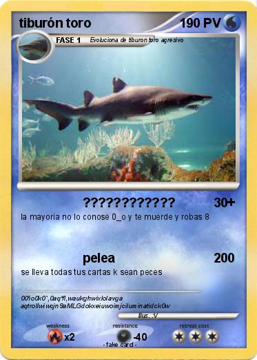 Pokemon tiburón toro