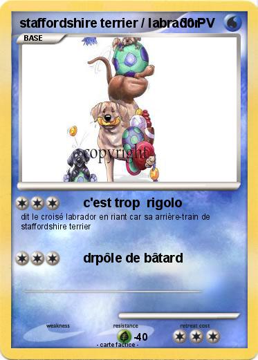 Pokemon staffordshire terrier / labrador