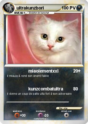 Pokemon ultrakunzbori