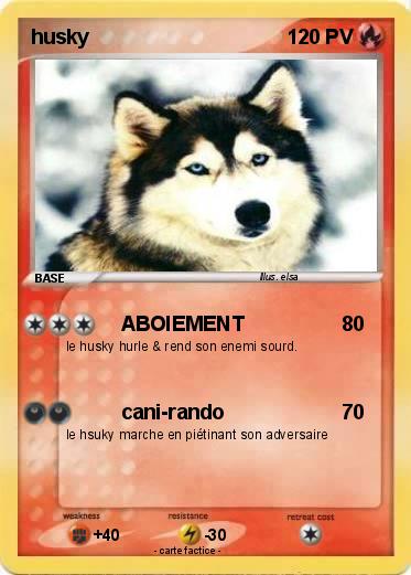 Pokemon husky