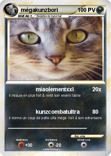 Pokemon mégakunzbori