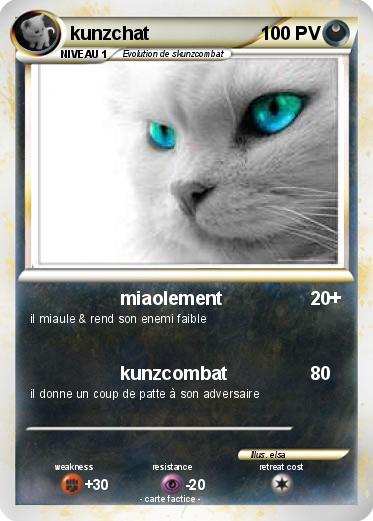 Pokemon kunzchat