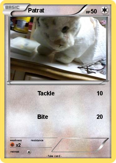 Pokemon Patrat