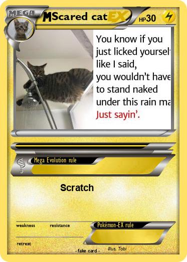 Pokemon Scared cat