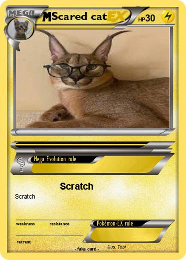 Pokemon Scared cat