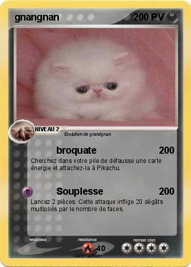 Pokemon gnangnan