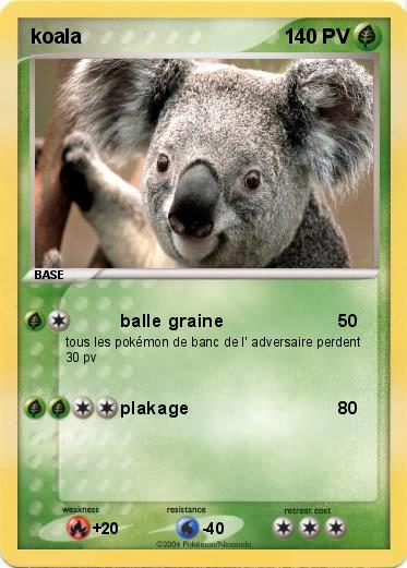Pokemon koala