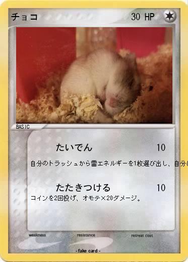 Pokemon チョコ