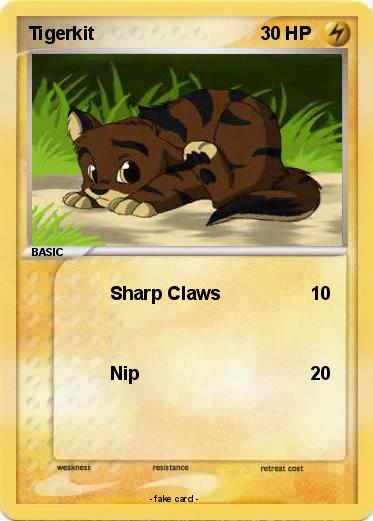 Pokemon Tigerkit