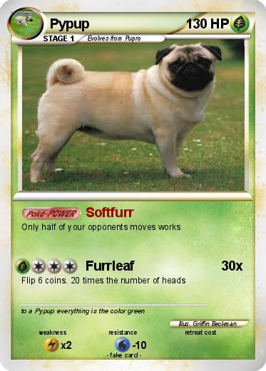 Pokemon Pypup