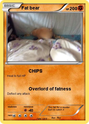Pokemon Fat bear