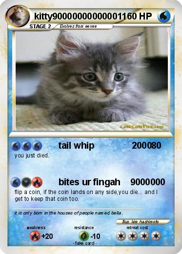 Pokemon kitty900000000000011