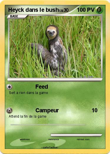Pokemon Heyck dans le bush