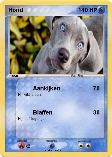 Pokemon Hond