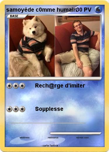 Pokemon samoyède c0mme humain