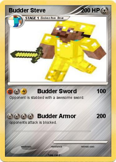 Pokemon Budder Steve