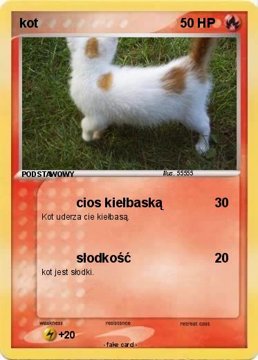 Pokemon kot